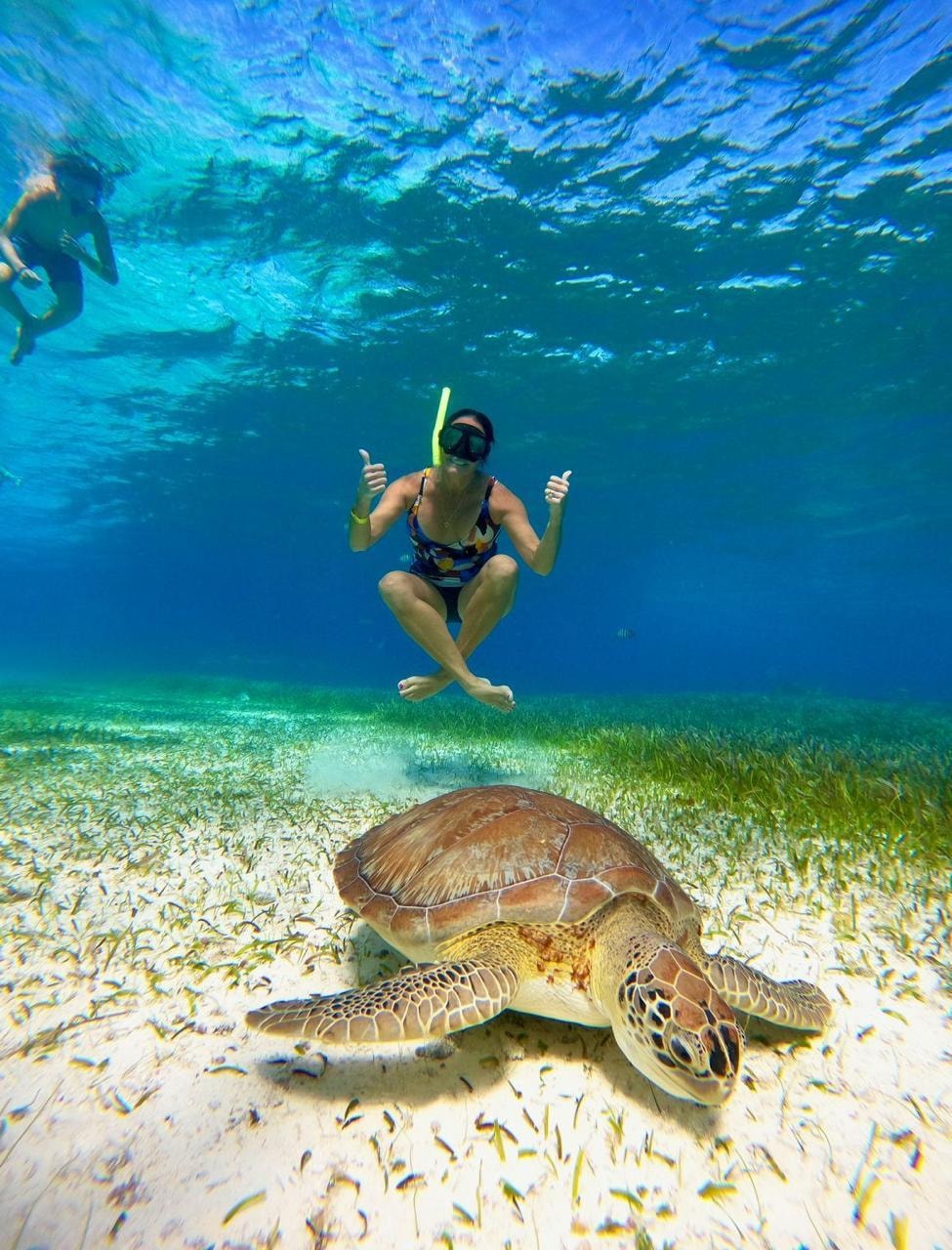 Snorkeller giving two thumbs up underwater while a large sea turtle rests on the sandy seabed in Cozumel